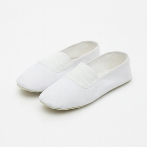 chaussure gymnastique classique souple