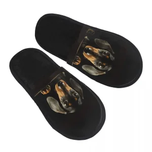 chaussons teckel en polyester
