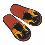 Chausson teckel original rigolo