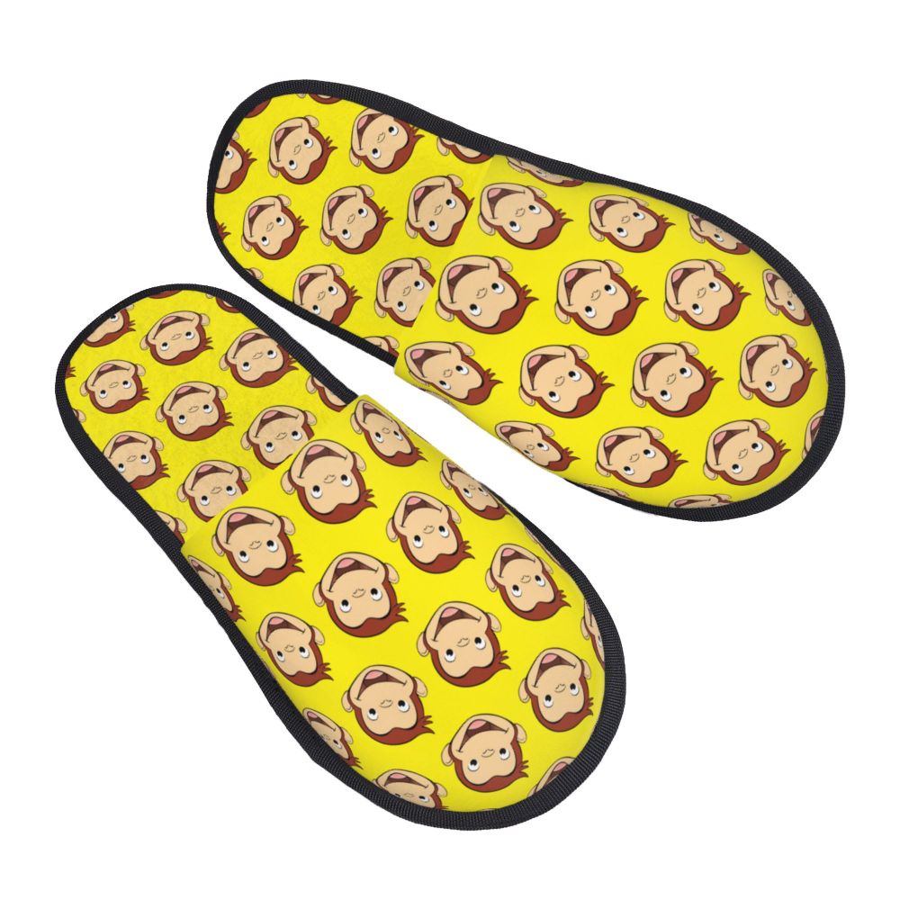 chaussons motif curieux
